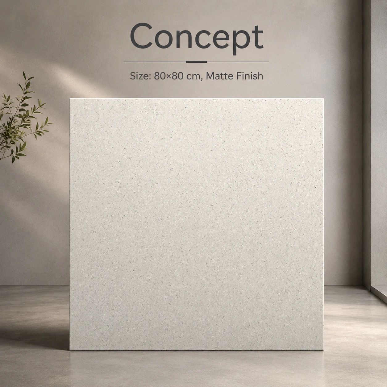 طرح CONCEPT، سالن، ۸۰ × ۸۰، مات